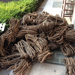 Old Mountain Vine Dried Vine Branch Wholesale Tree Vine Indoor Landscape Decoration Flower Arrangement Decoration Dry Vine Tendril Yiwu Artificial Flower Factory
