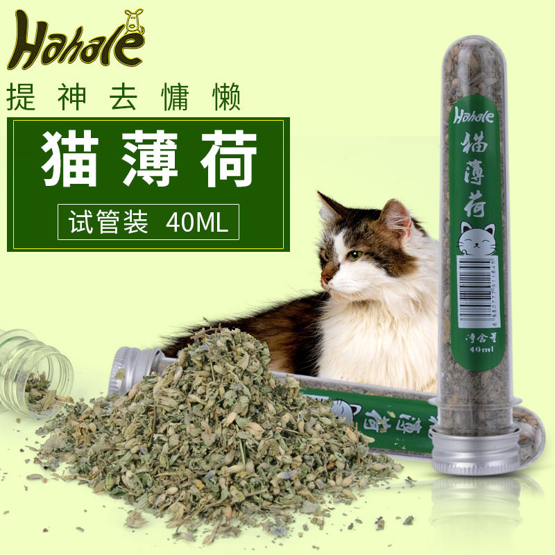 Chiscat-Catnip in Test Tube 40ml High-Quality American Catnip Leaves for Hairball Removal in Test Tube Format