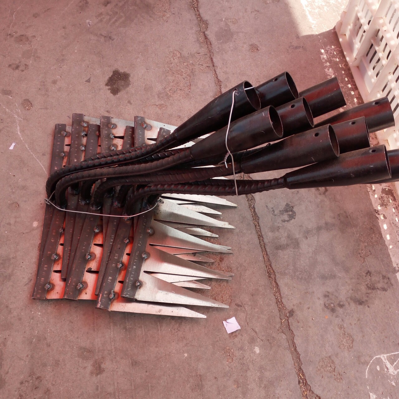 自产自销七齿花锄头品种全松士除草大量批发