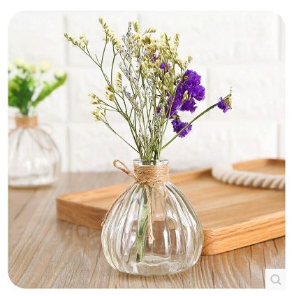 南瓜型软木塞玻璃瓶 水培 花器 许愿瓶 收纳瓶 拍摄道具 zakka