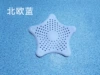 Starfish Nordic Blue