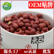 低温烘焙熟五谷杂粮磨粉原料 豆浆原料 熟花生500g