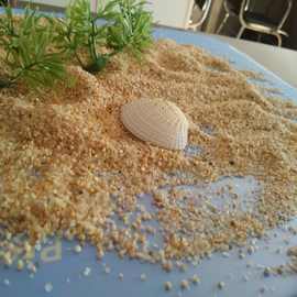 喷砂铸造石英砂 淄博污水处理用海砂填充沙 水洗普通石英沙