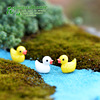 B.Duck, jewelry, accessory, resin, micro landscape