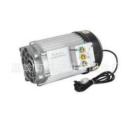 厂家生产 2200w-6000w变档后桥电机 永磁无刷直流变档电机