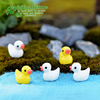 B.Duck, jewelry, accessory, resin, micro landscape