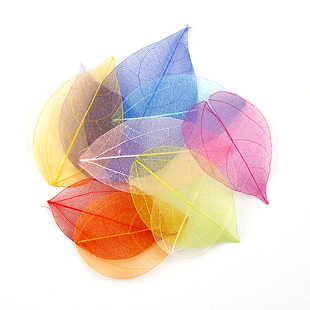 ��Ȼ��䓘��~ �����~�}�ɻ��˱��������K������Ƭ���z�ֹ�diy����