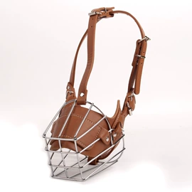 狗狗牵引;宠物项圈;狗狗窝/笼/垫