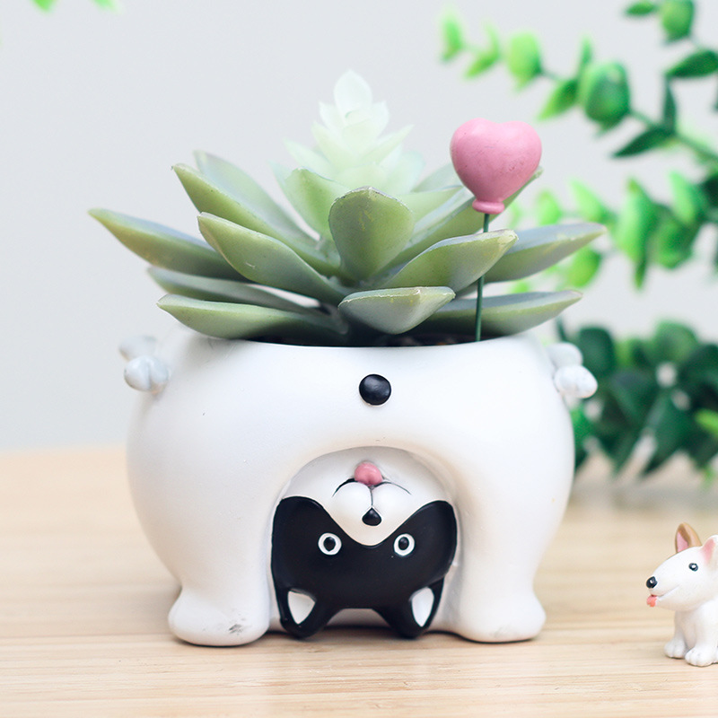 Chậu Cây Resin Chậu cây mọng nước hình heo resin, chậu mini để bàn, đồ trang trí và quà tặng (RG-133)