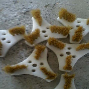 �S���N���X�ܰ��b�C����ëˢ ���Ǯ���ˢ�� ����ˢҎ���Rȫ