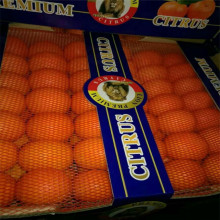 厂家直供PE红色塑料网水果箱专用塑料网聚乙烯塑料水果垫网