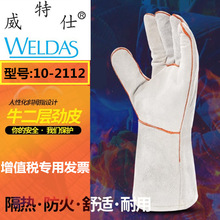 ������10-2112늺�����ţƤ�����������𾀄ڱ������촬�k��ܵ�