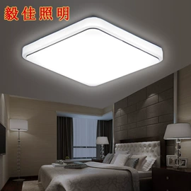 吸顶灯;吊灯;LED球泡灯