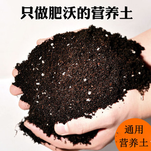 �N���I�B���߲��ЙC���ʶ���������ˮ��������|�@ˇ�������绨��