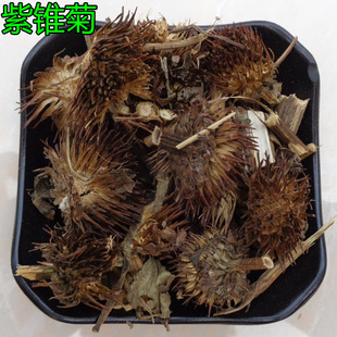���l��ș�� ���F�� ���F�� ���ɹ��� �ɹ��� ���F��ȫ�w ����ă�