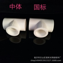 PPR管件批发 ppr等径三通 三通不沾模头ppr管件厂家批发配件