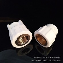 PPR管件 内牙直接 国标内直 国标加厚型管件不沾模头内丝批发直通