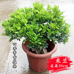 ���V�ݻ���ֱ�N���ļ����m���Ԙ���N���̨���ܲ���ֲ��G������