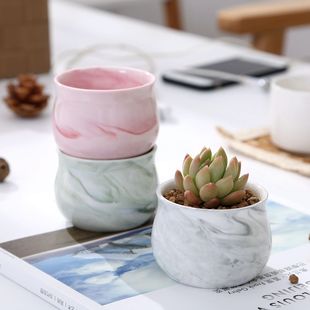 ���W�����մ�ֲ�ﻨ�� ���⻨�� �����k�����[�Oɫ��С�������l