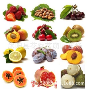 �Ό��� ������ɣ����֦ ���� ľ�ϻ������J���� ��÷ ʯ��N��