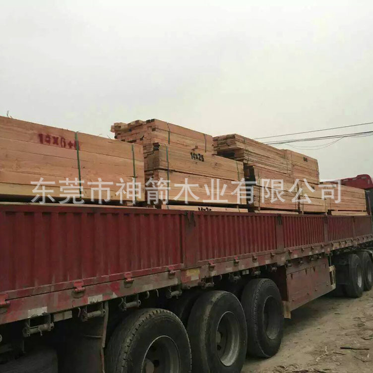 ����ľ�� ����ľ�ķ��� �ɼӹ� ��������ʸ�  ��Ƥ��