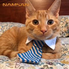 New Pet Accessory Bow Tie for Dogs and Cats, Summer Decorations for Puppies and Butterflies, Dropshipping One Piece