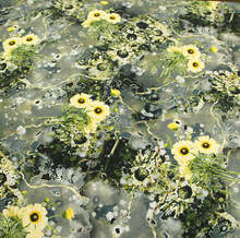 SɫСrՔaӡ ݷ찱]ţ̽z