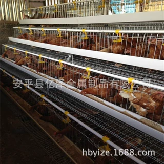 源头厂家直营 鸡笼 肉鸡蛋鸡产量增产 现货规格齐全