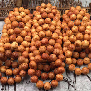 �°��ִ��Ĵ���ɽ���S���ɫ�����̸ߒ�������ֹ�ľ�|��ˇƷ���l