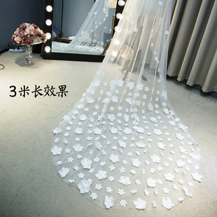 �����^���鼆�¿��nʽ2025�^���L��3�׻����Y������β�^�����l