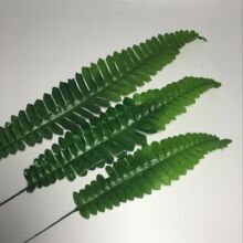 ���l�z�W���z�m������ ���滨�辰���廨��� ��̖�Ųݲ�˹�~