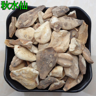 ���l��ș��  ��ˮ��  ������ ���ӹ������� ����ă�