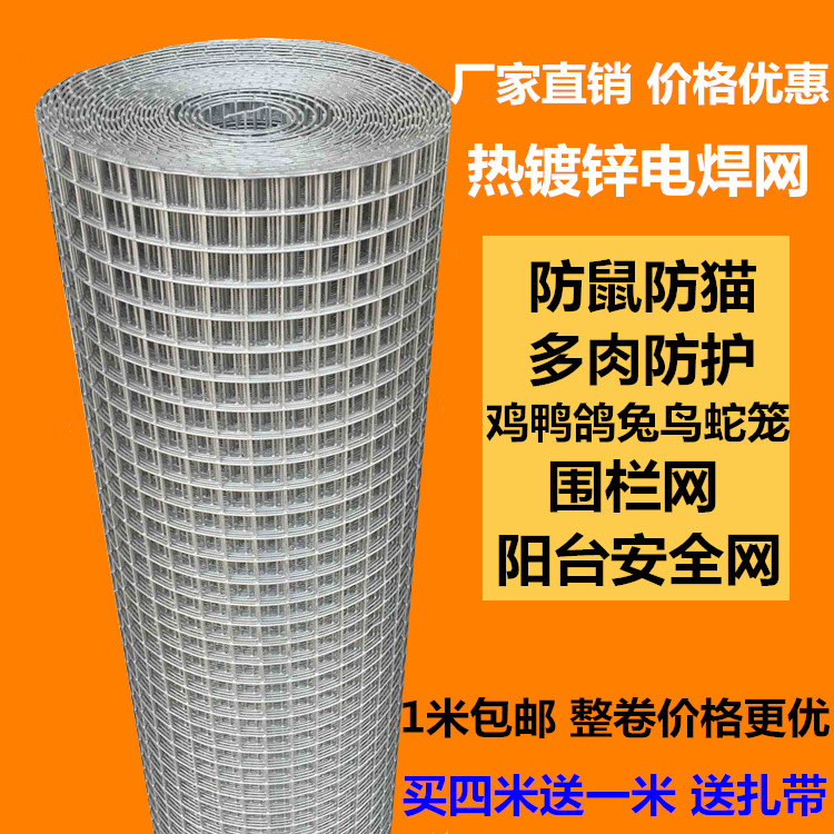 热镀锌电焊网 果园围栏网 铁丝网 防鼠网 鸡笼兔笼鸟笼鸽笼养殖网