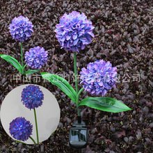 ̫���LED�[�򻨟�2LED�ѹ�Ӣ�����̫��ܷ��滨�@��ƺ��ͥԺ��