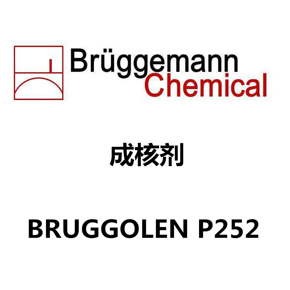 布吕格曼P252 尼龙成核剂  BRUGGOLEN P252   成核剂母粒