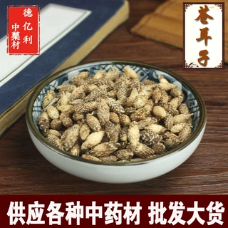 老兵诚信中药材批发 苍耳子 去刺苍耳 苍耳子干净无杂 新货