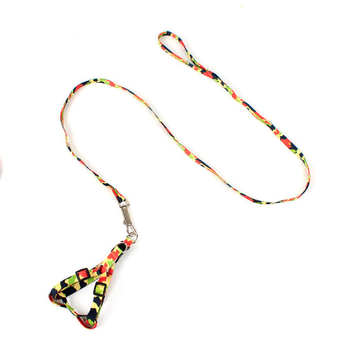 Pet supplies wholesale economical pet leash polyester printed puppy leash 1.0cm can be mixed batches