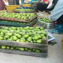 �~�ʲ��m��˟o�������� �F����Ƥ�o������r�� �o����������