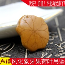 �S�����l�L�����������~ ����������������� �ɻ����̺��~