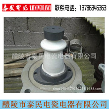 厂家专业生产供应泰民电瓷电器ZAQ--10Y 12Y系列 高压支柱绝缘子