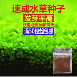 其它水族用品;造景/装饰;鱼缸清洁用具