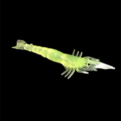Soft Bait Lure Artificial Shrimp LED Glowing Soft Shrimp 9cm 3.6g Simulation Shrimp Fake Lure Wholesale
