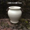 B02 White