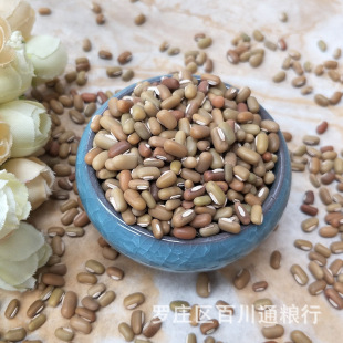 �����������l��ͥ���ඹɳ���ö������s�Z ���񶹴��b50��