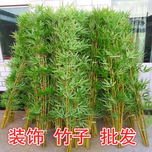 �������Ӽ�ˮë��͏d�Ҿ��b����Ӹ������L���~�ٻ��Gֲ������