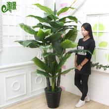 ���l��������ֲ����滨�ٻ��Ӽ��b��辰�Gֲ�������ϻ����Ի���