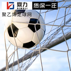 其他安全网;攀爬网;足球门/网