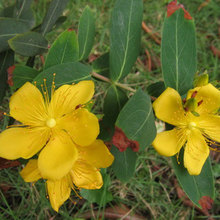 �L�ڹ��� ��z�� Ǥ���� ��z�ҵ���120�pɫ���� Ҏ���Rȫ