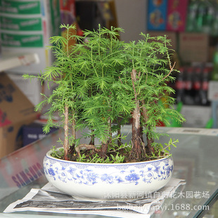 ���̾G�� ����ɼ ˮɼ ��ɼ Ҏ���Rȫ ��·�G�� С�^�G��  �е���