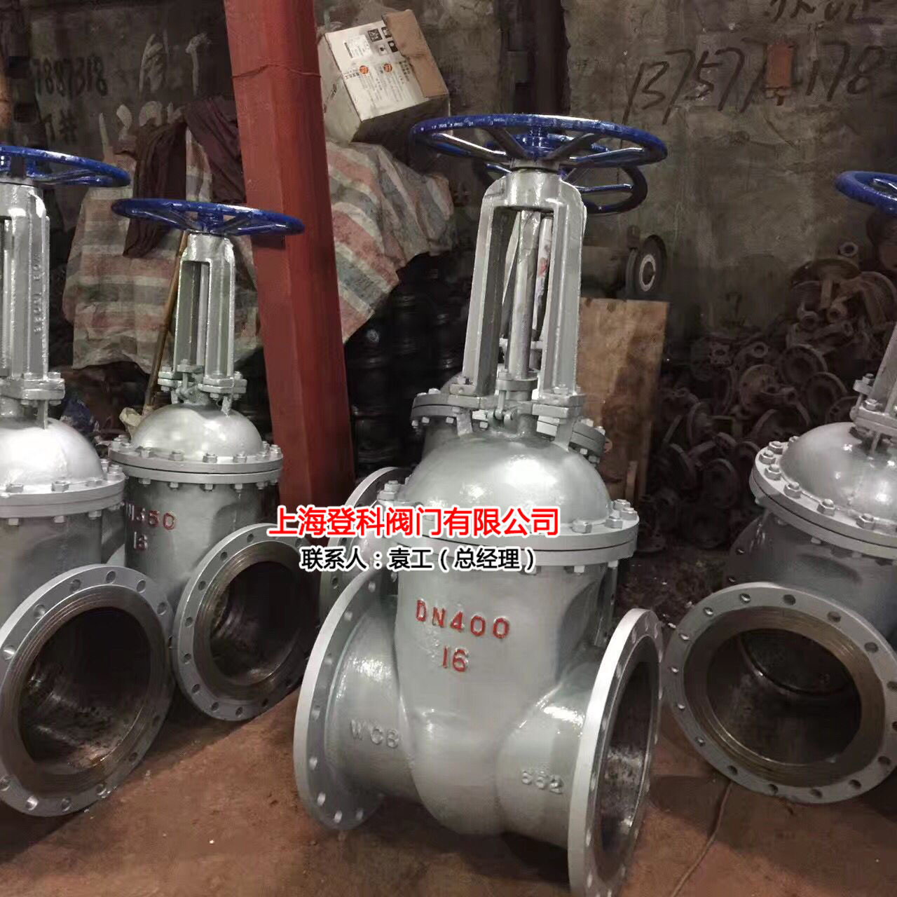 登科 Z41H-25C DN250闸阀 明赶闸阀 手动法兰闸阀 精铸WCB闸阀